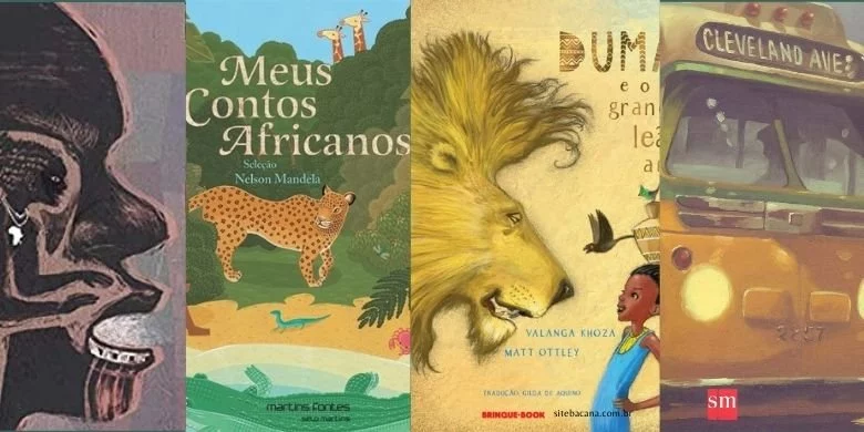Livros sobre a África e as questões raciais